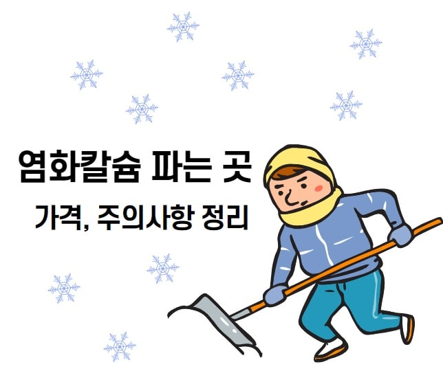  염화칼슘 파는곳 - 주민센터에서 무료로? 가격, 주의사항 등 정리