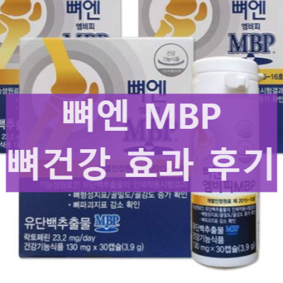 뼈엔 엠비피 MBP 복용 후기 및 효능 효과 부작용 가격