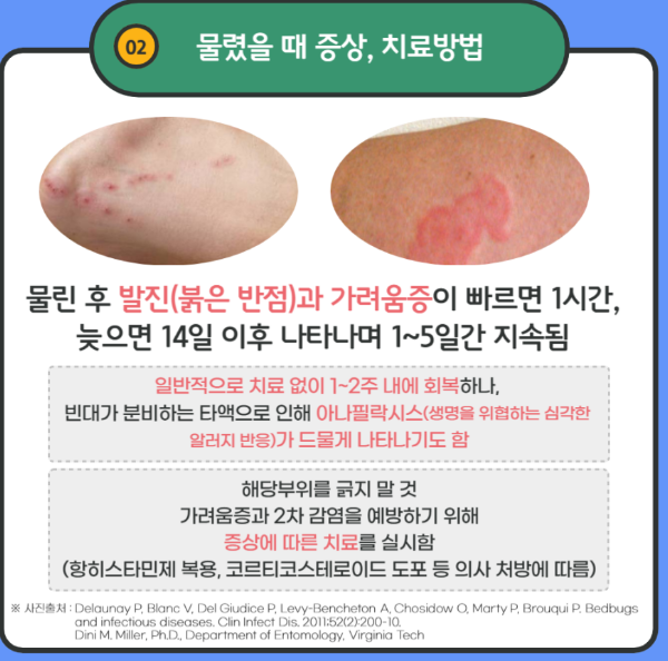 서울특별시 공식 블로그 참고자료