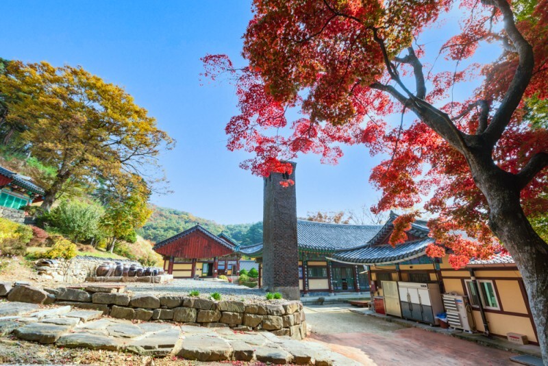 충남 예산 향천사 단풍