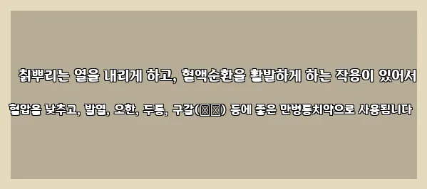  칡뿌리는 열을 내리게 하고, 혈액순환을 활발하게 하는 작용이 있어서 혈압을 낮추고, 발열, 오한, 두통, 구갈(口渴) 등에 좋은 만병통치약으로 사용됩니다