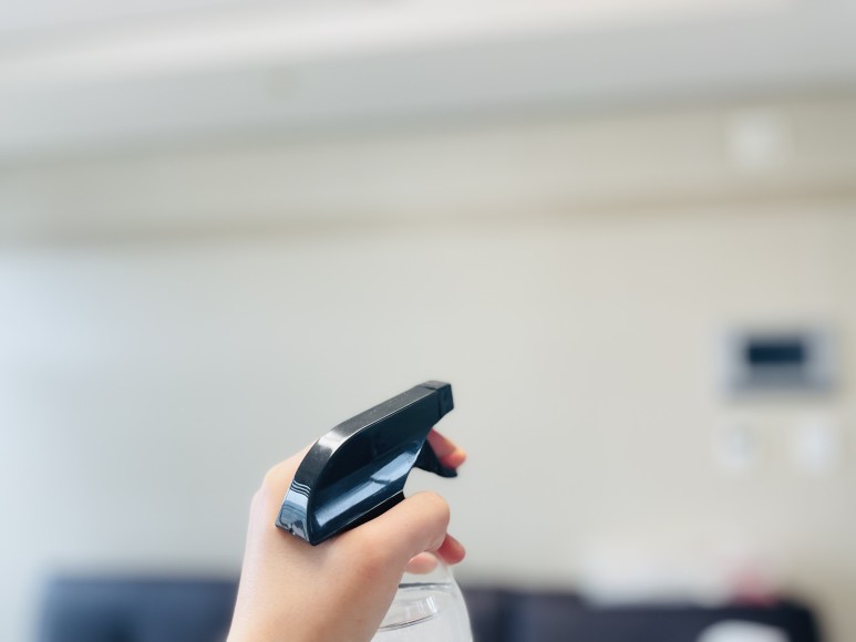 초파리 벌레 극혐오 4가지 활용법 18