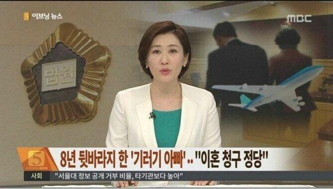  8년 뒷바라지 한 기러기아빠 "이혼 청구 정당"