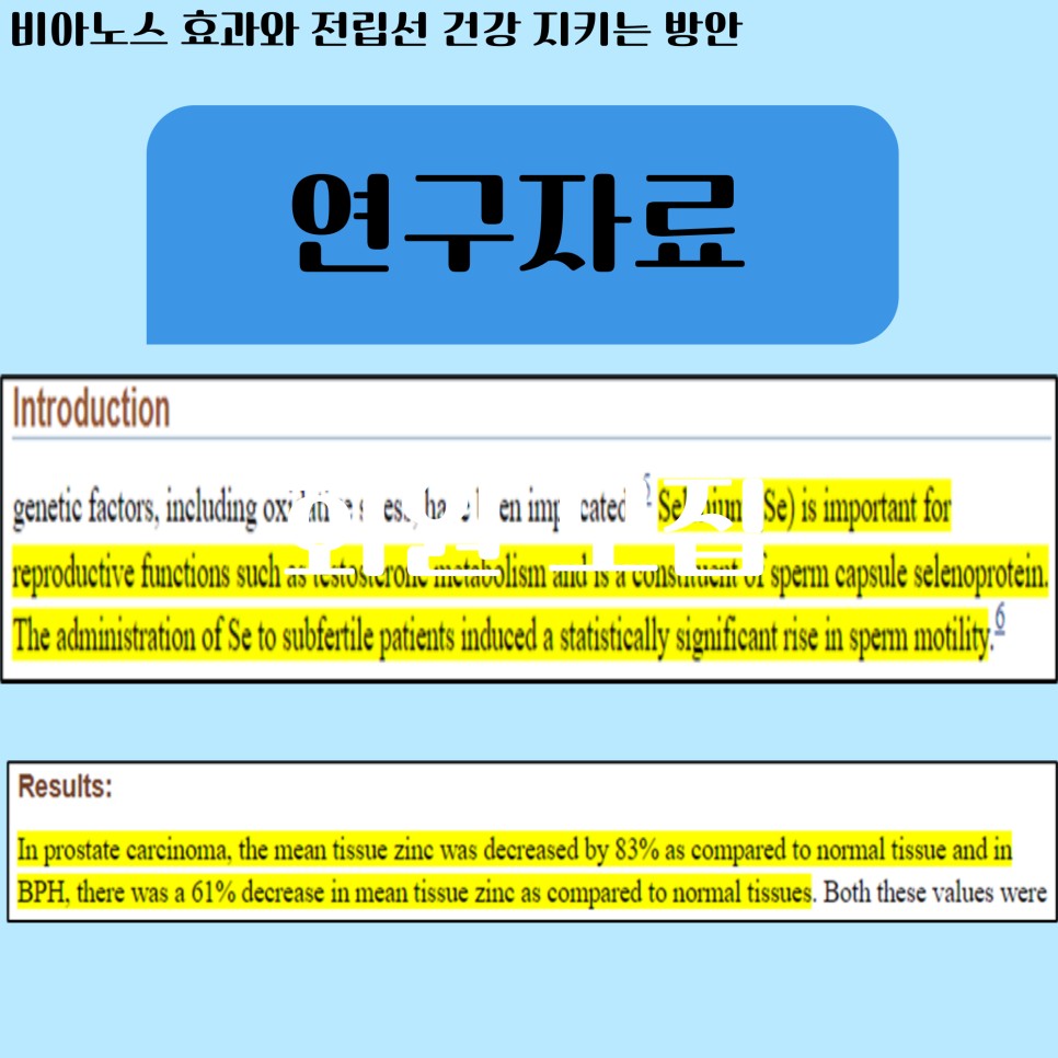건강 지키는 방안 비아노스 효과와 전립선 12