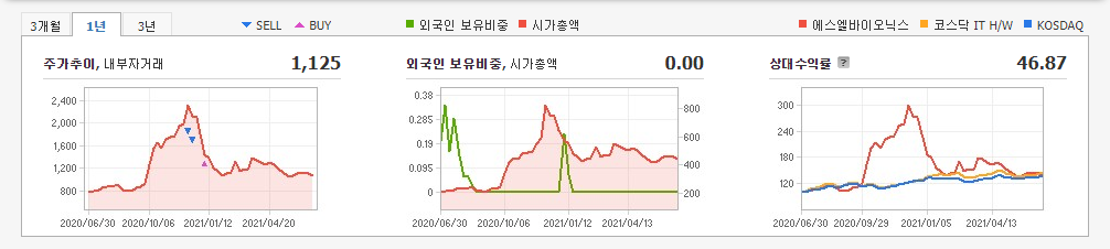 대마-관련주