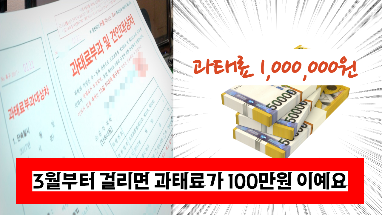  '걸리면 과태료 100만원 이예요.' 엄청나게 단속이 강화되었으니 꼭 지키세요