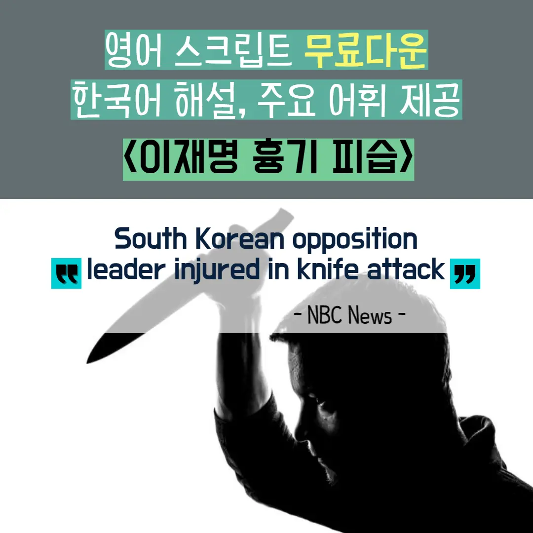 South Korean opposition leader injured in knife attack