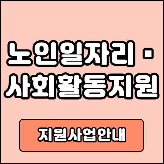 노인일자리 및 사회활동 지원사업