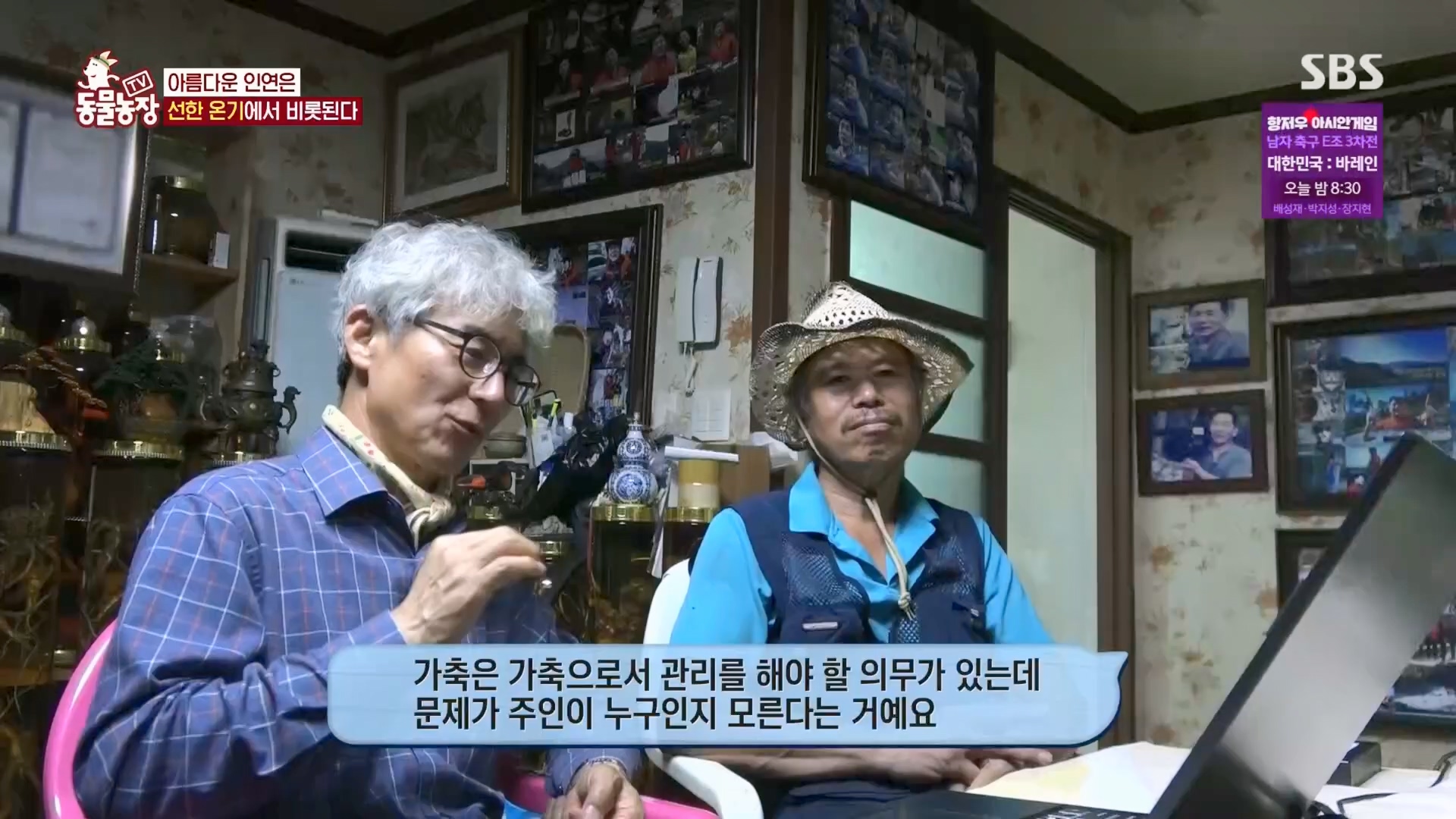 TV 동물농장.E1139.230924p.H264-F1RST.mp4_20230924_172352.069.jpg