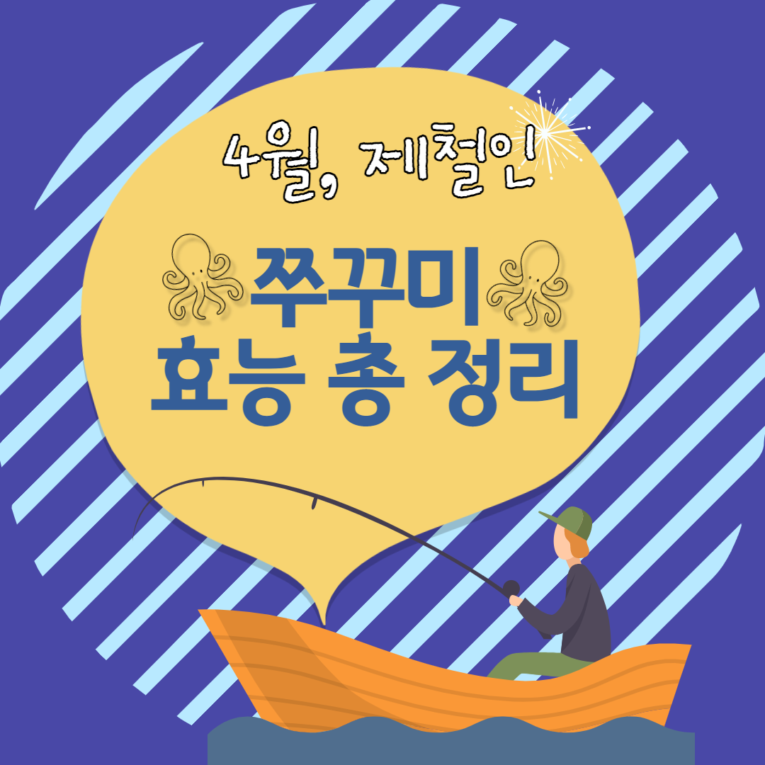 쭈꾸미 효능/세척법/보관법/먹는법/싱싱한쭈꾸미 고르는 방법
