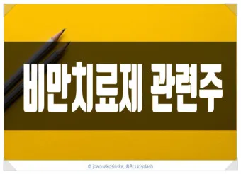 비만치료제 대장주 관련주 TOP5 총정리_6