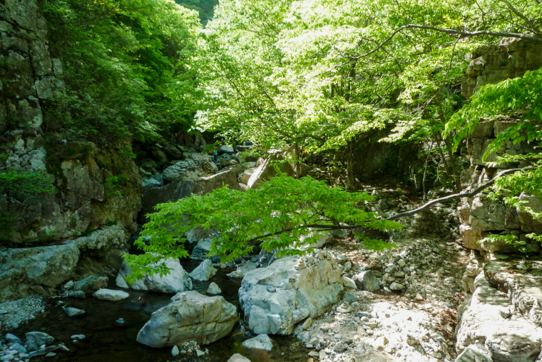 마늘로드 한국 명산 울산 신불산 등산 mountain hiking