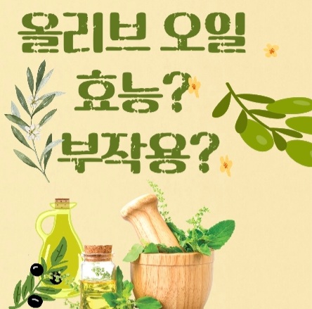  올리브 오일 효능? 부작용?