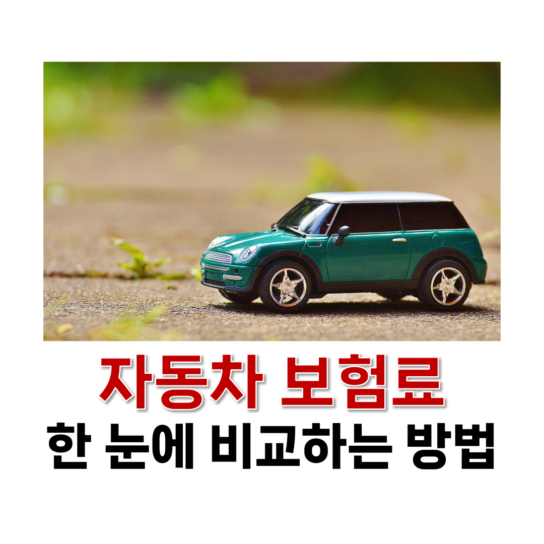 자동차 보험료 한 눈에 비교하는 방법