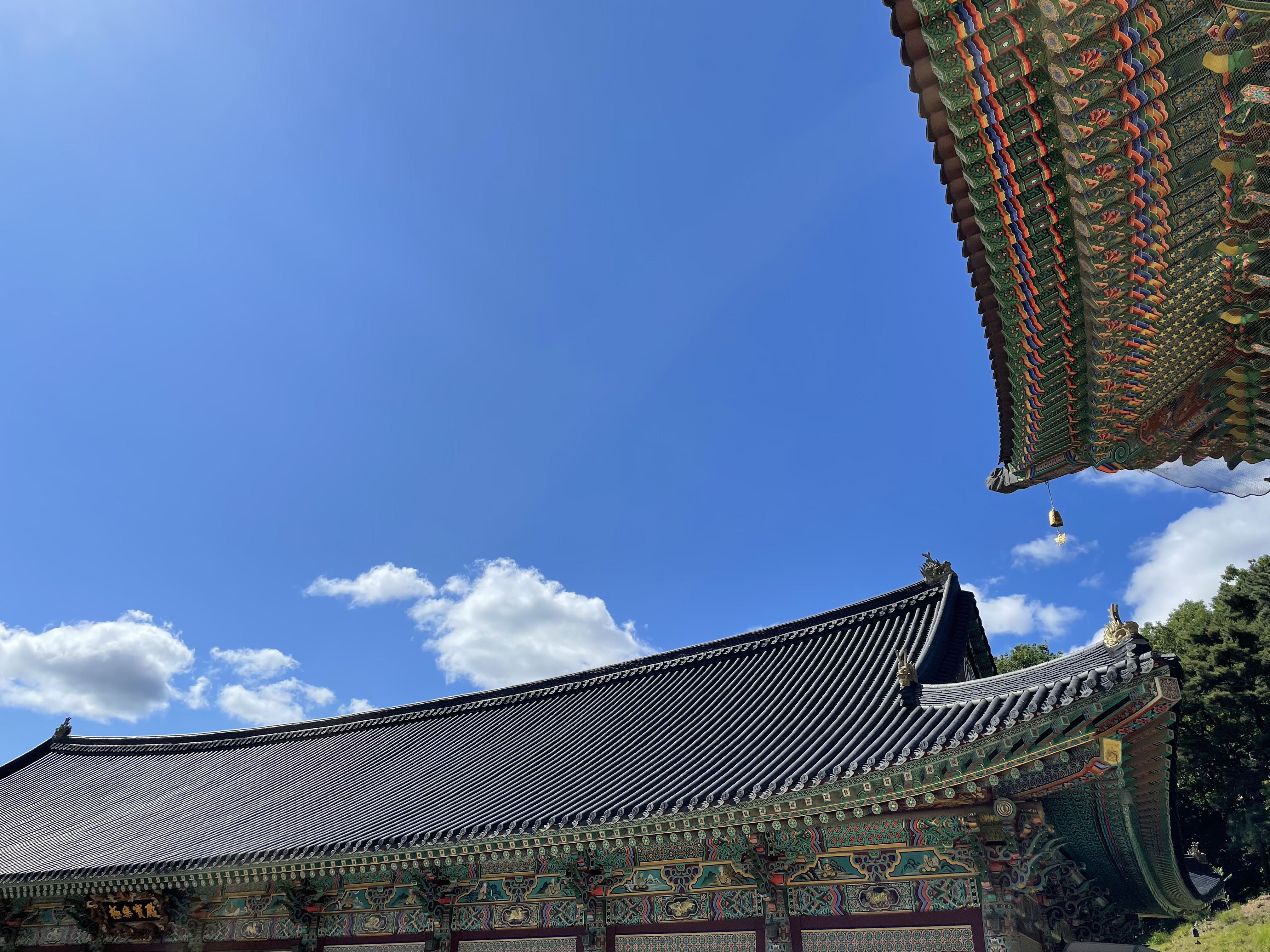  황금해일의 티스토리 블로그 시작!