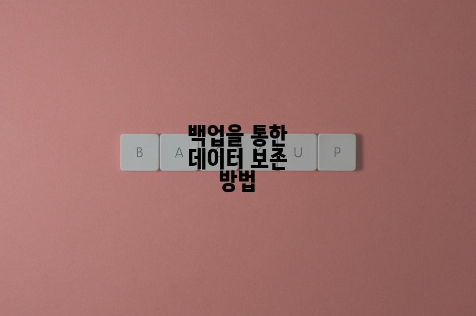백업을 통한 데이터 보존 방법