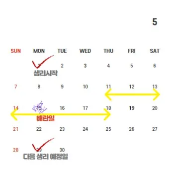 생리전 생리후 임신가능성 배란일 확인_6