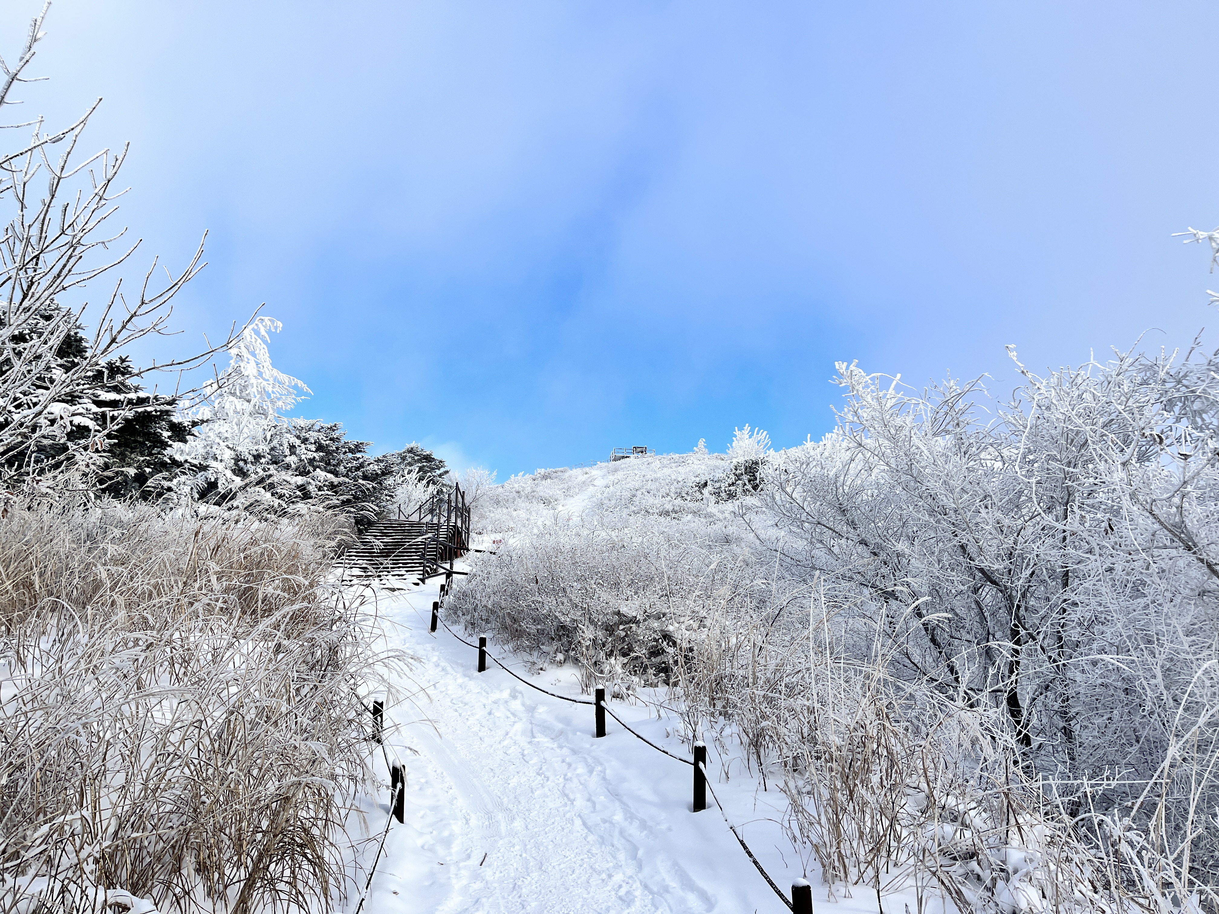 지리산 바래봉