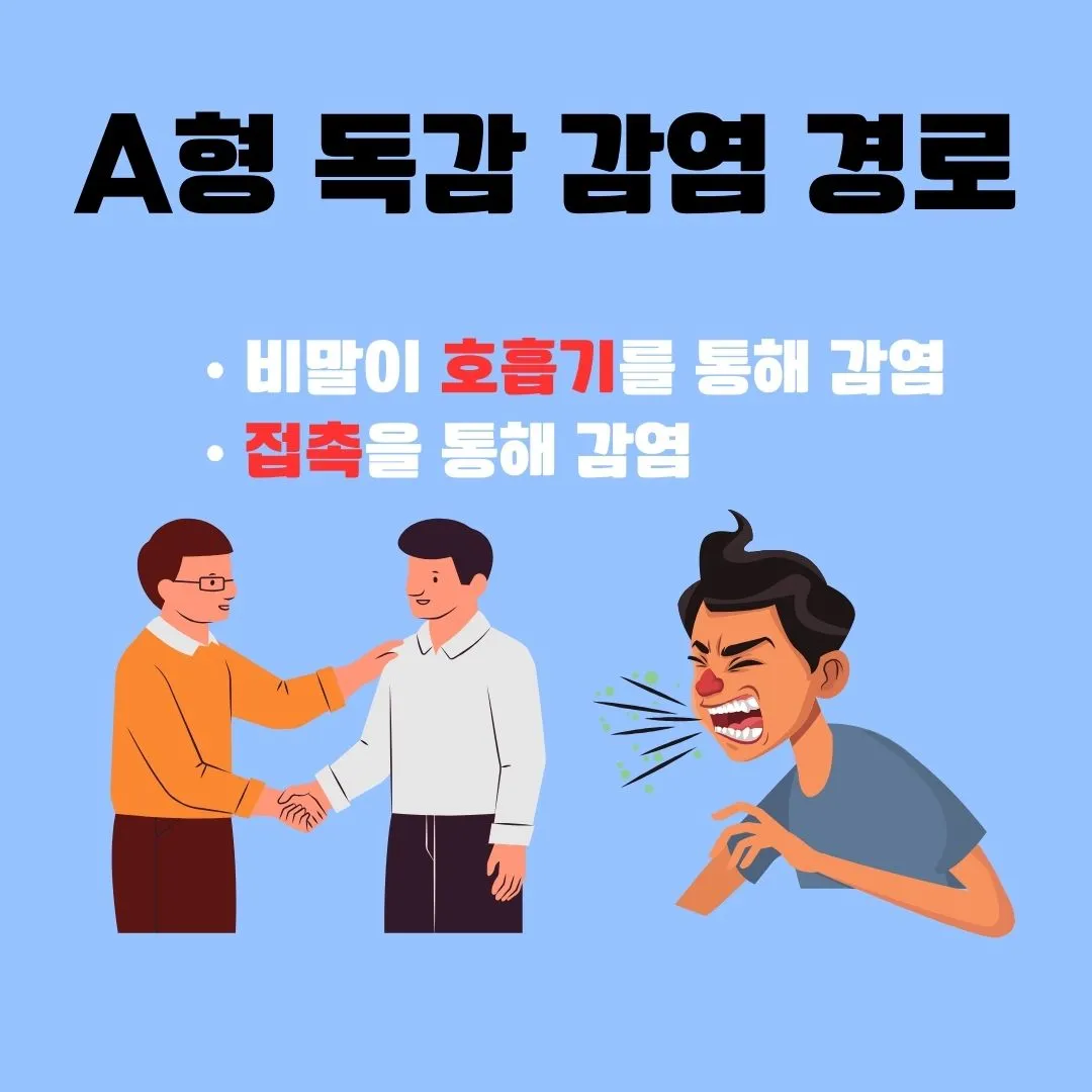 A형 독감 증상 전염성 치료방법