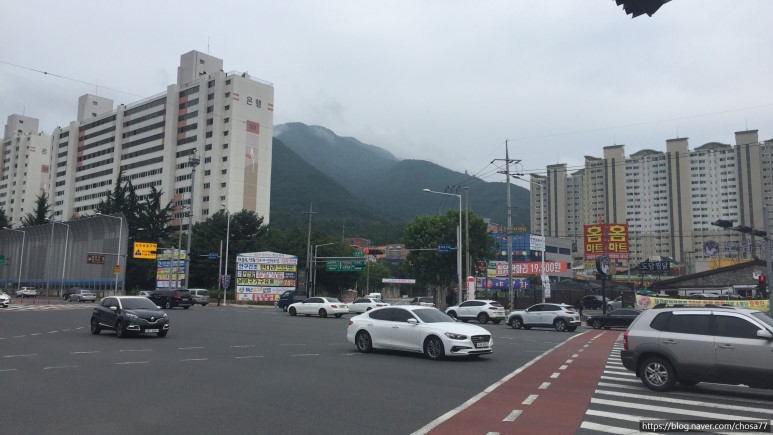  대구 월광수변공원 간 후기와 관련정보