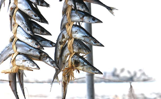 과메기 맛있게 먹는법 과메기 효능 보관방법 칼로리