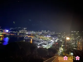 강원도 묵호 여행 묵호항 수산시장 등대 명소_15