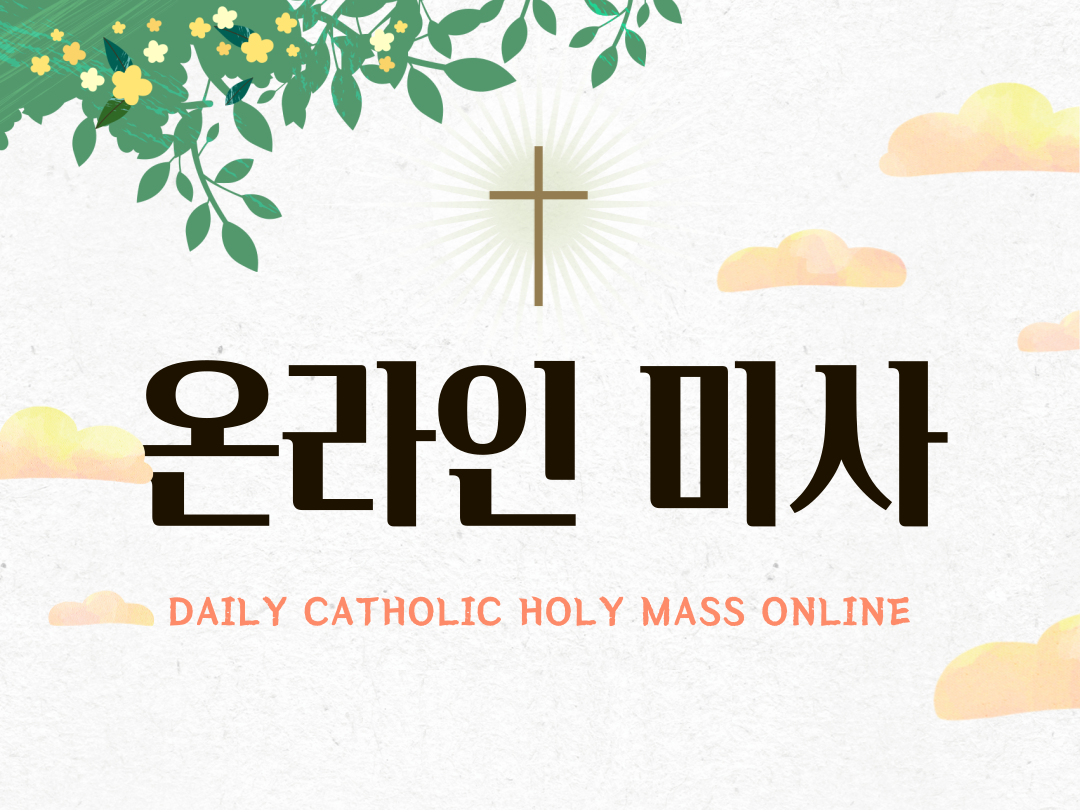 매일미사 실시간 스트리밍 온라인 미사 (Daily Catholic Holy Mass Online)