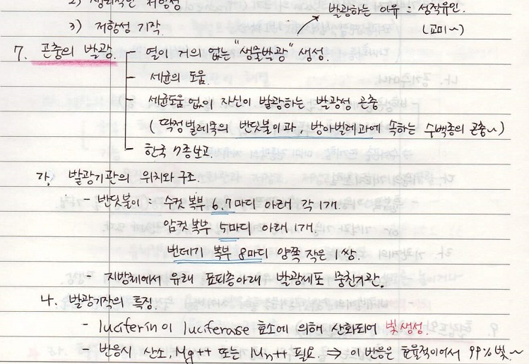  [수목해충학] 6. 곤충의 기관별 생리와 기능 - 곤충의 발광