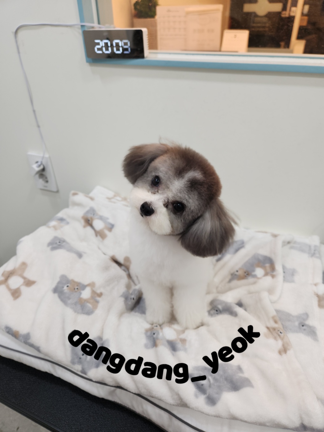 호야미용실 이미지