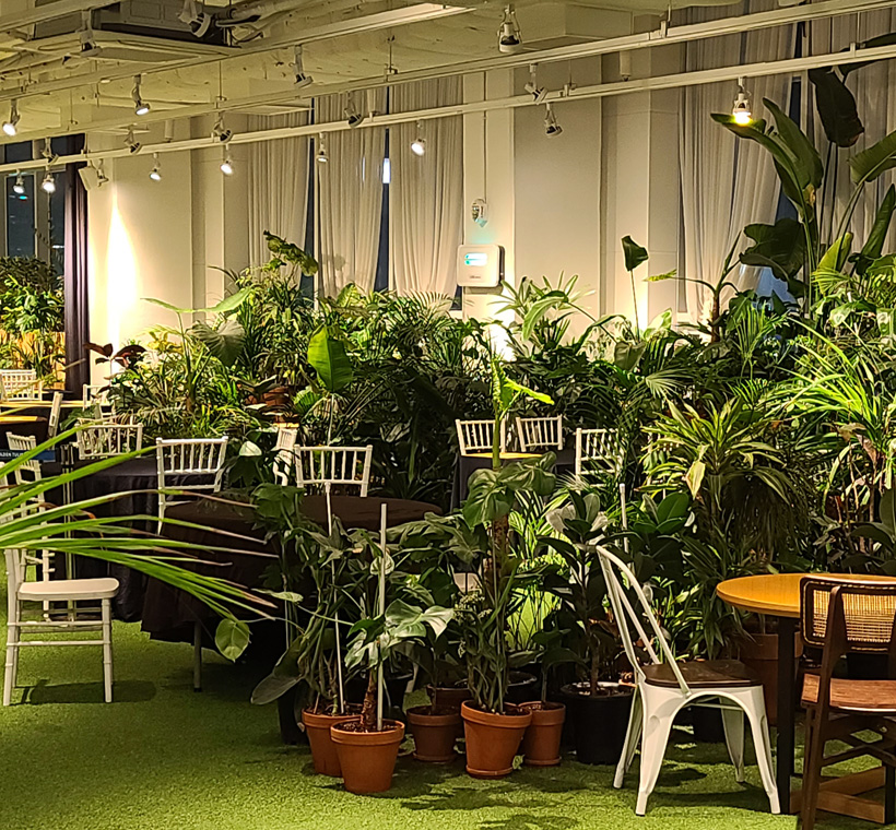 해운대시장 해운대 골든튤립호텔 24