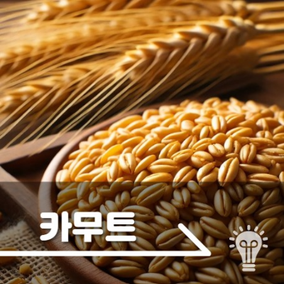 카무트효소