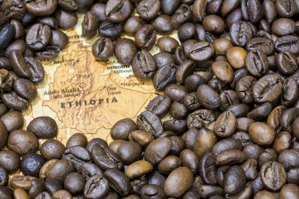 에티오피아 커피 원두 예가체프