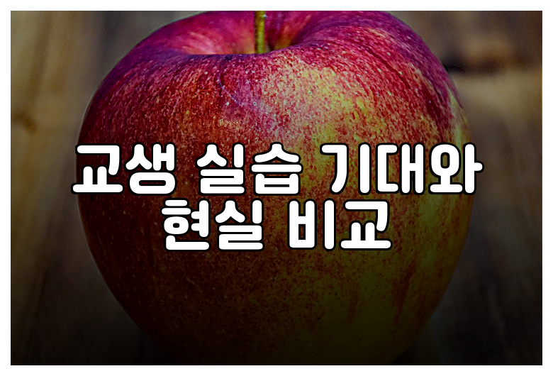 교생 실습 기대와 현실 비교