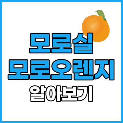 모로 실 모로 오렌지 효능 부작용