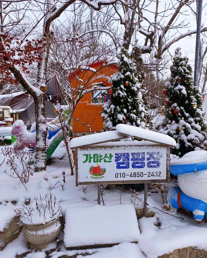 생방송오늘저녁 겨울 장박 캠핑 백종원 시장 투어까지 예산 가야산 캠핑장 추천