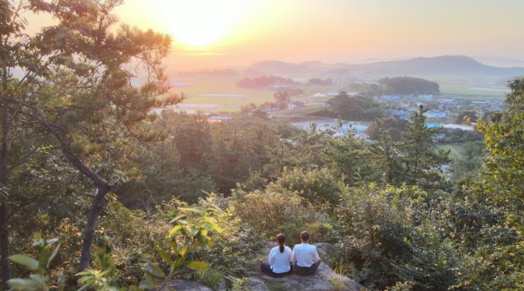 한국기행-해남-차밭-다도체험