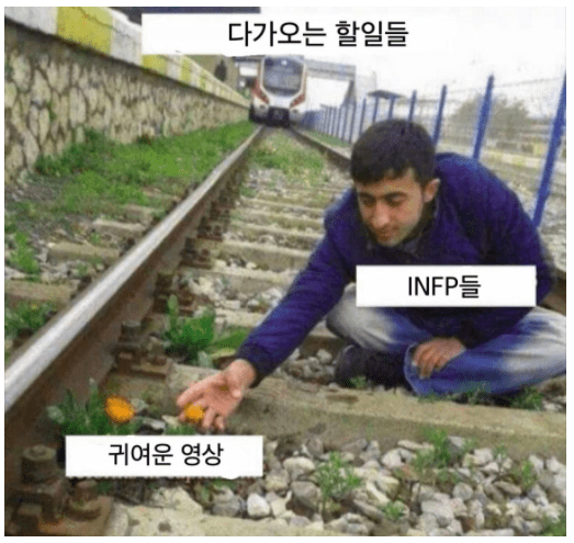 infp-기차-짤