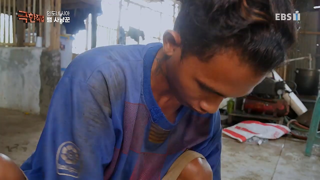 TV - 교육의 중심 EBS인도네시아 뱀사냥꾼.mp4_20221211_181512.585.jpg
