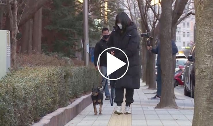  개는 훌륭하다 봉달이 몽이 공주 사랑이 개통령 강형욱 훈련소 보듬 컴퍼니
