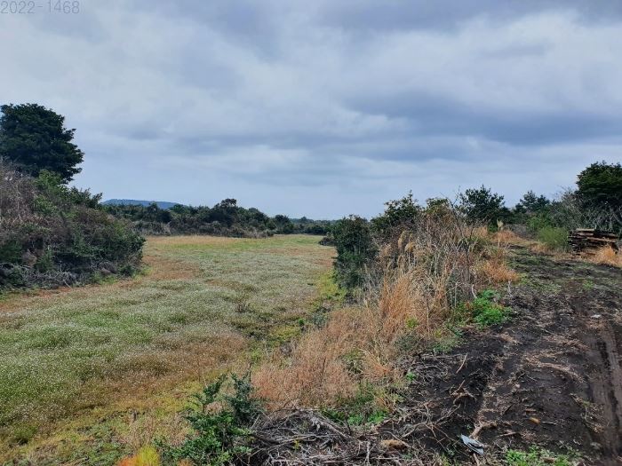 제주도 토지경매 임야경매 서귀포시 12