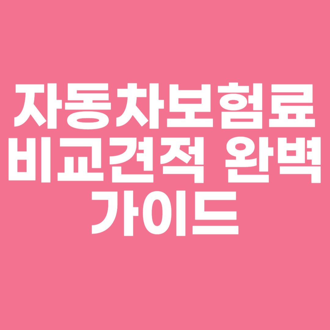 자동차보험료 비교견적 완벽 가이드