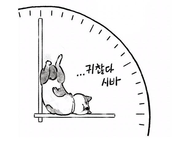  경력증명서 인터넷 발급 양식 과 용도 알아봤습니다.
