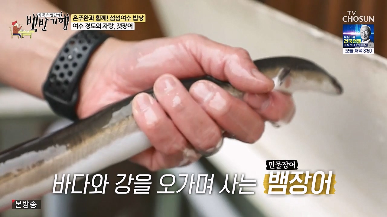 식객 허영만의 백반기행.E253.240624p-NEXT.mp4_20240624_194851.919.jpg