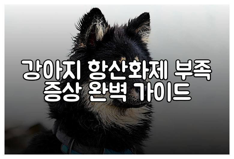 강아지 항산화제 부족 증상 완벽 가이드
