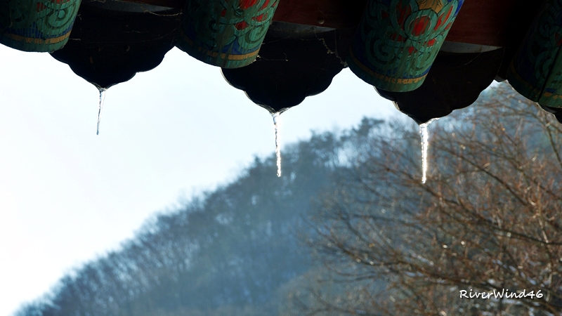 송광사 설경(松廣寺 雪景)