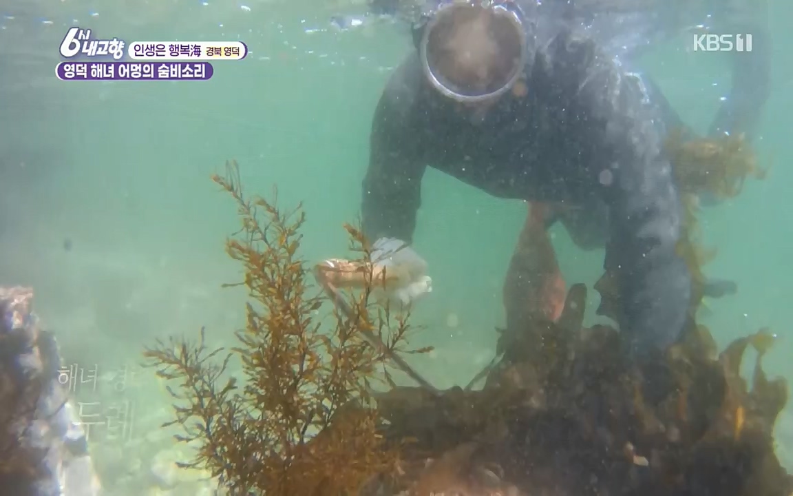 6시 내고향.E7498.220329p.H264-F1RST.mp4_20220329_184056.556.jpg