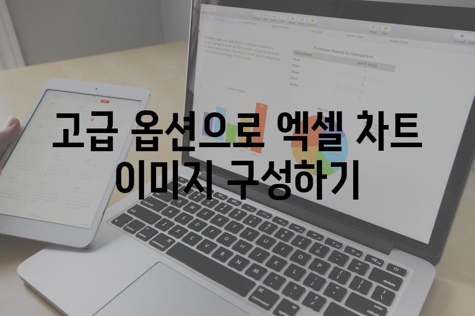 고급 옵션으로 엑셀 차트 이미지 구성하기