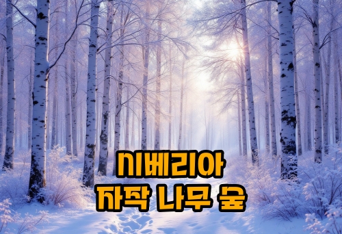 시베리아-자작나무-숲-차가버석