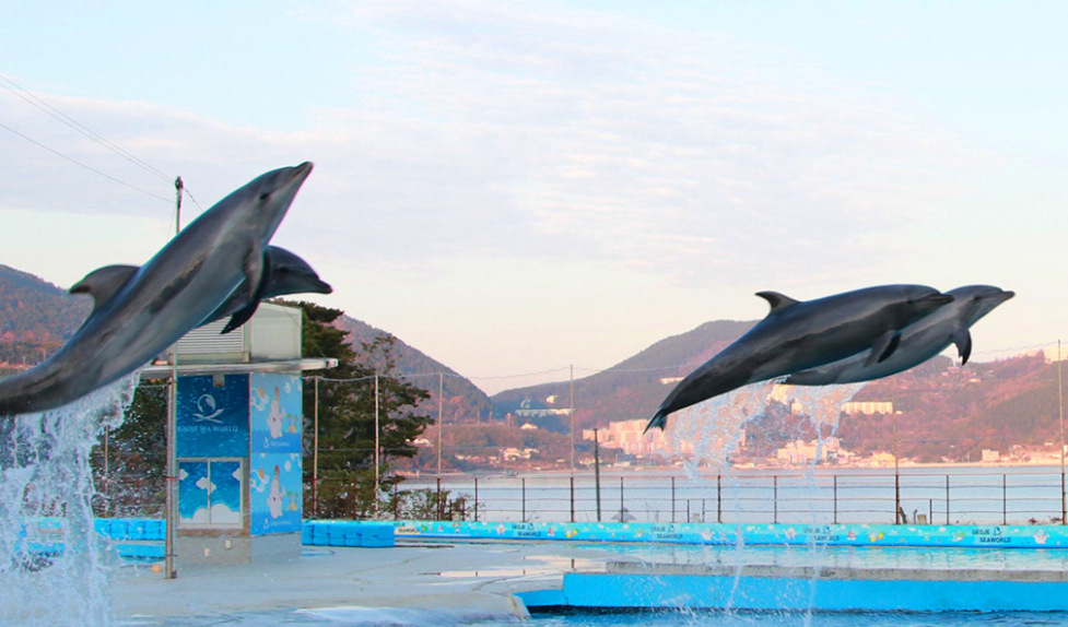 거제 씨월드3