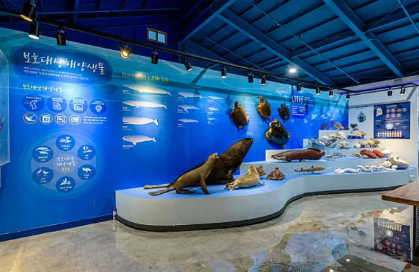 제주해양동물박물관
